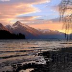 LSNZ_005